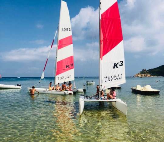 Barca a vela e Catamarano