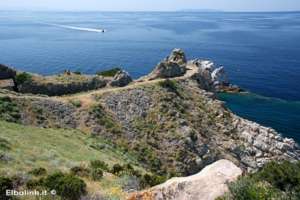 elba in sup