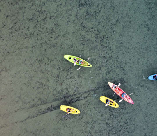 Canoe e pedalò